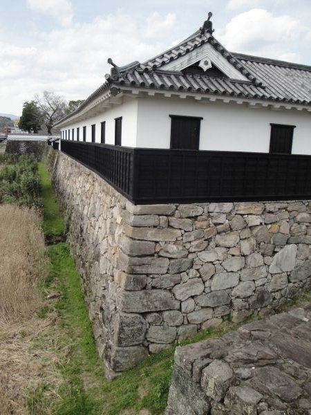 Hitoyoshi Castle wwwjapanesecastleexplorercompicturesHitoyosh