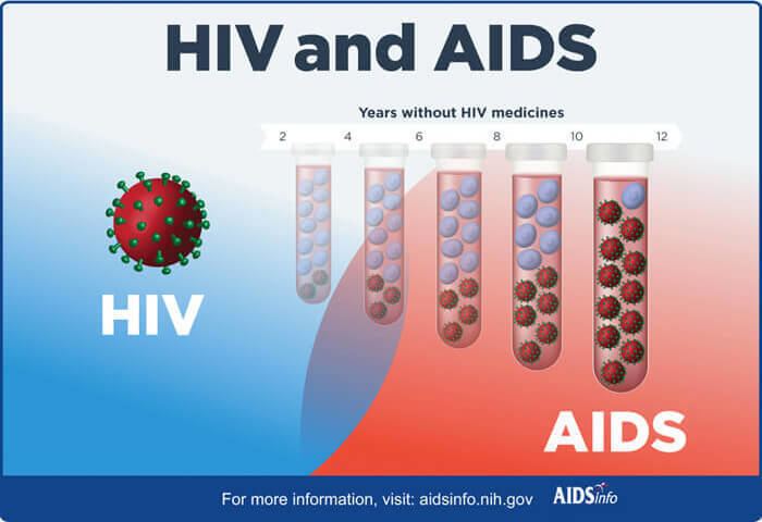 HIV HIVAIDS The Basics Understanding HIVAIDS AIDSinfo