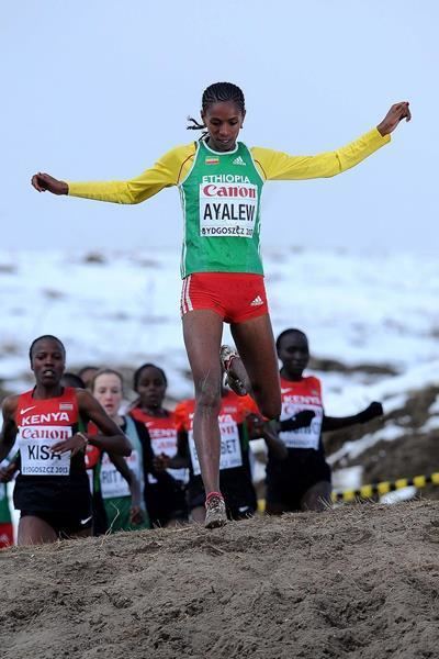 Hiwot Ayalew Athlete profile for Hiwot Ayalew iaaforg