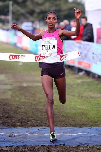 Hiwot Ayalew Athlete profile for Hiwot Ayalew iaaforg