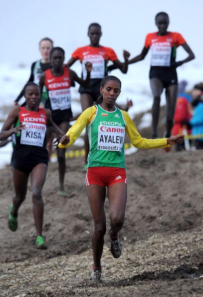 Hiwot Ayalew Hiwot Ayalew Pictures 40th IAAF World Cross County