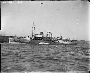 HMS Azalea (K25) httpsuploadwikimediaorgwikipediacommonsthu