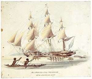 HMS Blossom (1806) httpsuploadwikimediaorgwikipediacommonsthu