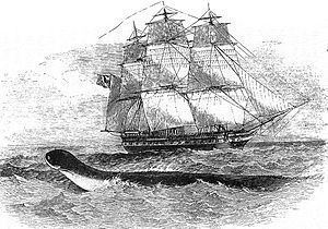 HMS Daedalus (1826) httpsuploadwikimediaorgwikipediaenthumbf