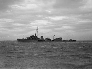 HMS Mallard (L42) httpsuploadwikimediaorgwikipediacommonsthu