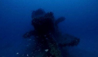 HMS P311 HMS P311 First pics of doomed WW2 British submarine found off