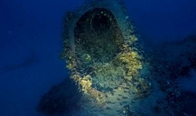 HMS P311 HMS P311 First pics of doomed WW2 British submarine found off