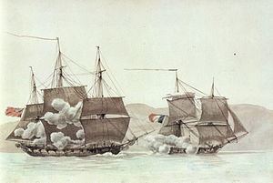 HMS Peterel (1794) httpsuploadwikimediaorgwikipediacommonsthu