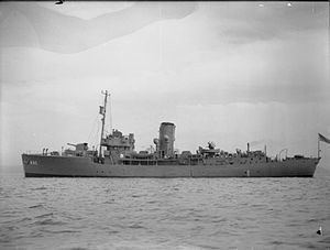 HMS Picotee (K63) httpsuploadwikimediaorgwikipediacommonsthu
