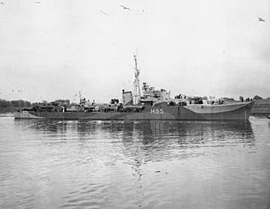 HMS Roebuck (H95) httpsuploadwikimediaorgwikipediacommonsthu