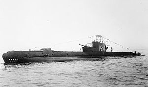 HMS Sidon (P259) httpsuploadwikimediaorgwikipediacommonsthu