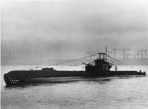 HMS Sleuth (P261) httpsuploadwikimediaorgwikipediacommonsthu