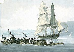 HMS Speedy (1782) HMS Speedy 1782 Wikipedia