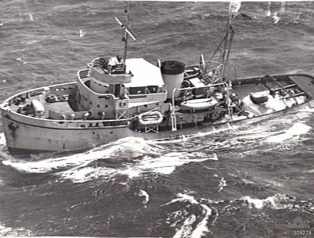HMS Tancred (W 104)