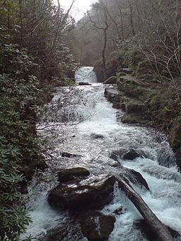 Hoar Oak Water httpsuploadwikimediaorgwikipediacommonsthu