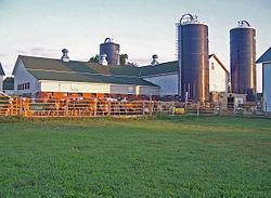 Hoard's Dairyman Farm httpsuploadwikimediaorgwikipediacommonsthu