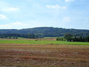 Hochstein (Elstra) httpsuploadwikimediaorgwikipediacommonsthu