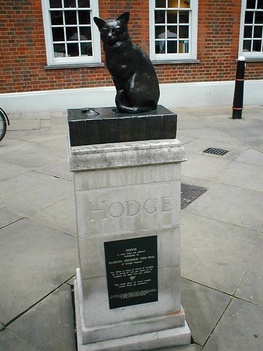 Hodge (cat) uploadwikimediaorgwikipediacommons55cHodge