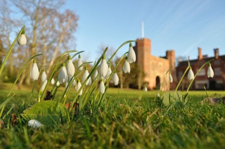 Hodsock Priory Snowdrops at Hodsock Priory Hodsock Priory