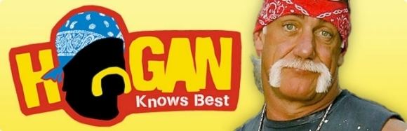 Hogan Knows Best HOGAN KNOWS BEST SEASON 4 HULK HOGAN BROOKE HOGAN DVD for sale