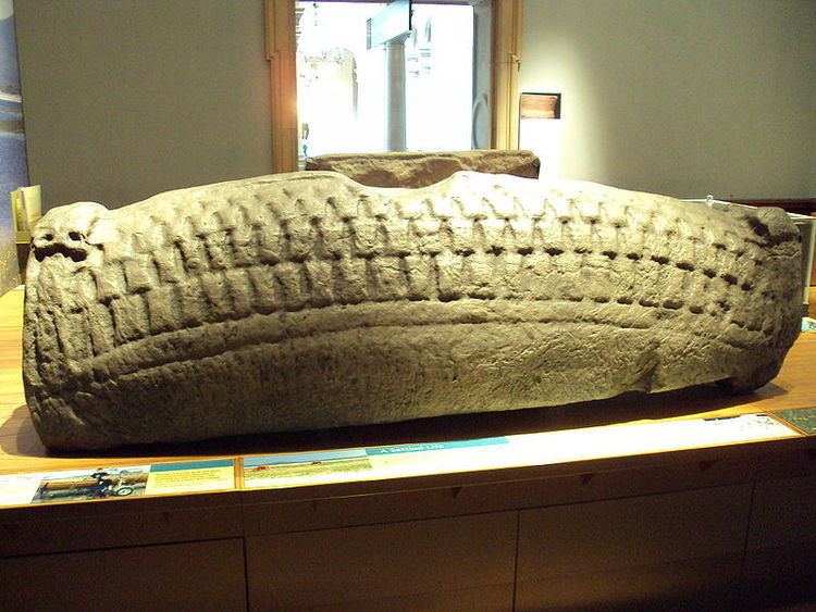 Hogback (sculpture) Vikings Archives Page 20 of 22 Medievalistsnet