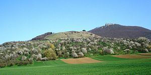 Hohenbol httpsuploadwikimediaorgwikipediacommonsthu