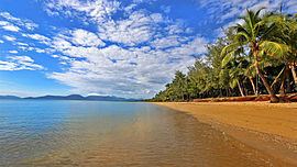 Holloways Beach, Queensland httpsuploadwikimediaorgwikipediacommonsthu