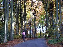 Hollowhill and Pullingshill Woods httpsuploadwikimediaorgwikipediacommonsthu