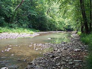 Holly River httpsuploadwikimediaorgwikipediacommonsthu