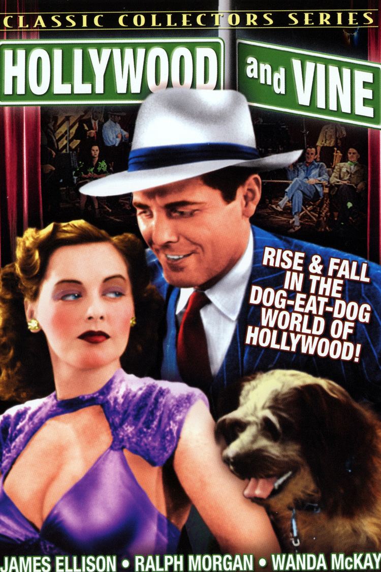 Hollywood and Vine (film) wwwgstaticcomtvthumbdvdboxart50496p50496d