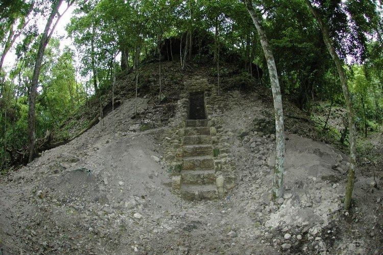 Holmul Panoramio Photo of Holmul Guatemala entrance to Building B