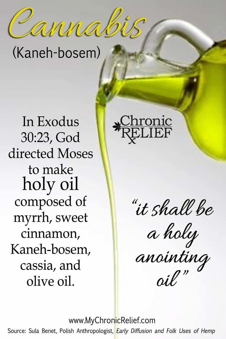 Holy anointing oil Cannabis Ingredient of Holy Anointing Oil Chronic Relief What is