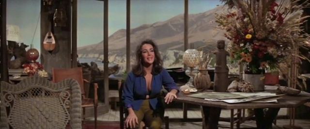 Home from the Hill (film) movie scenes Top George Hamilton and Robert Mitchum in Home from the Hill 1960 Bottom Elizabeth Taylor in The Sandpiper 1965 