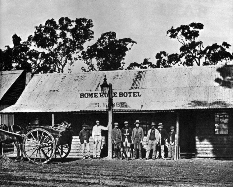 Home Rule, New South Wales