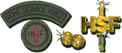 Home Service Force armypicsoftomweeblycomuploads412441249472