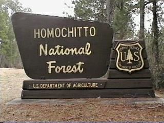 Homochitto National Forest wwwforestcampingcomdowgraphicshomojpg