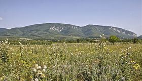Homolje mountains httpsuploadwikimediaorgwikipediacommonsthu