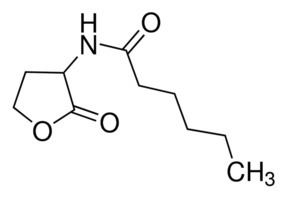 Homoserine NHexanoylDLhomoserine lactone 970 HPLC SigmaAldrich