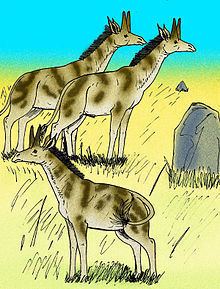 Honanotherium httpsuploadwikimediaorgwikipediacommonsthu
