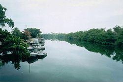 Hondo River (Belize) httpsuploadwikimediaorgwikipediacommonsthu