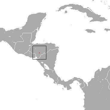 Honduran small-eared shrew