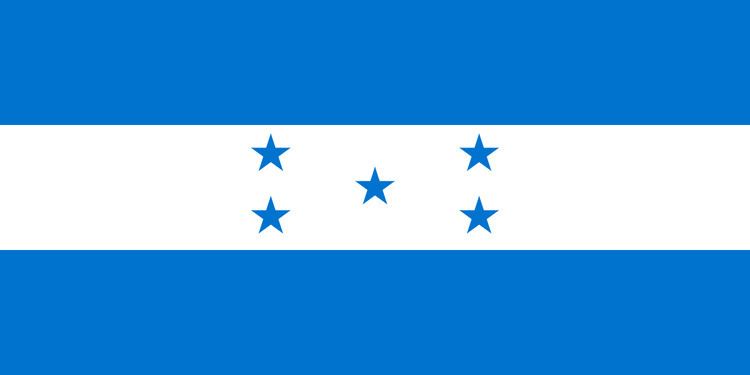 Honduras at the 2010 Central American and Caribbean Games