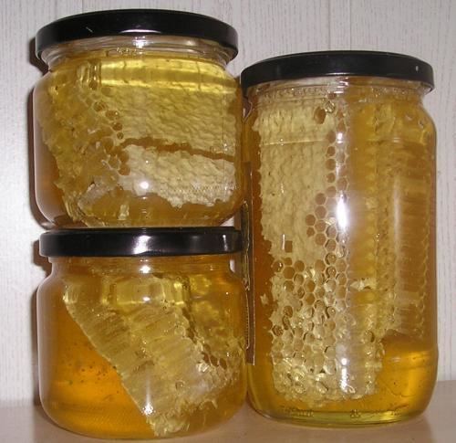Honey production in Hungary