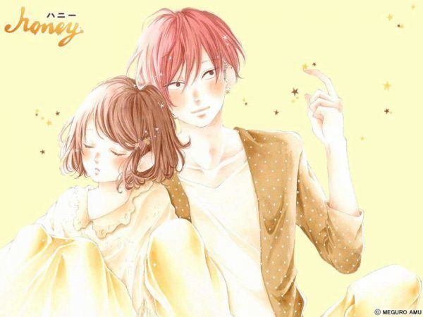 Honey So Sweet Manga Review Honey So Sweet vol 13 by Amu Meguro Heart of Manga
