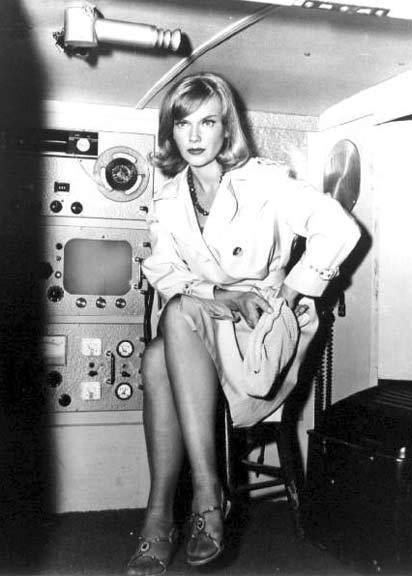 Honey West (TV series) 1000 images about TV Honey West on Pinterest A lion TVs and For her