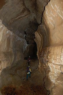 Honeycomb Hill Cave httpsuploadwikimediaorgwikipediacommonsthu