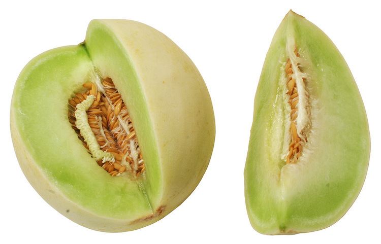 Honeydew (melon) httpsuploadwikimediaorgwikipediacommonsff