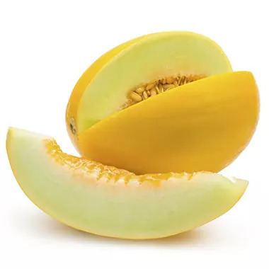 Honeydew (melon) Golden Honeydew Melon 1 ct Sam39s Club