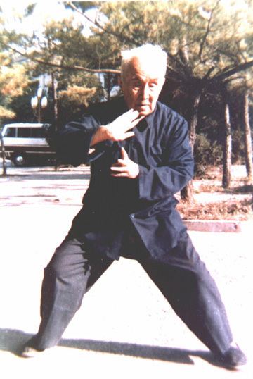 Hong Junsheng Master Hong Jun Sheng Munndialarts English