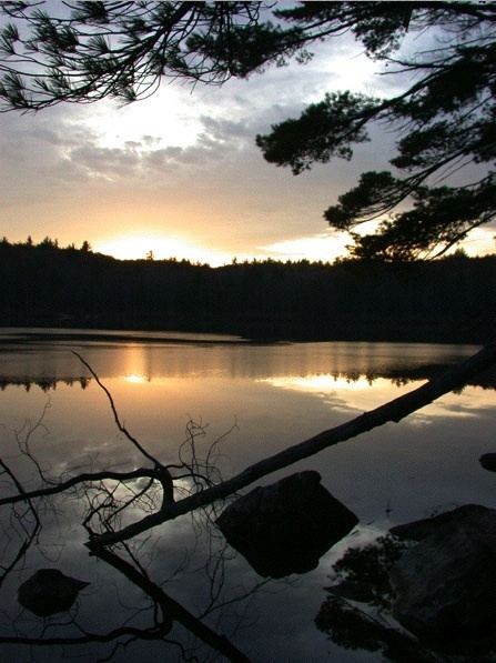 Hopkins Pond (New Hampshire)